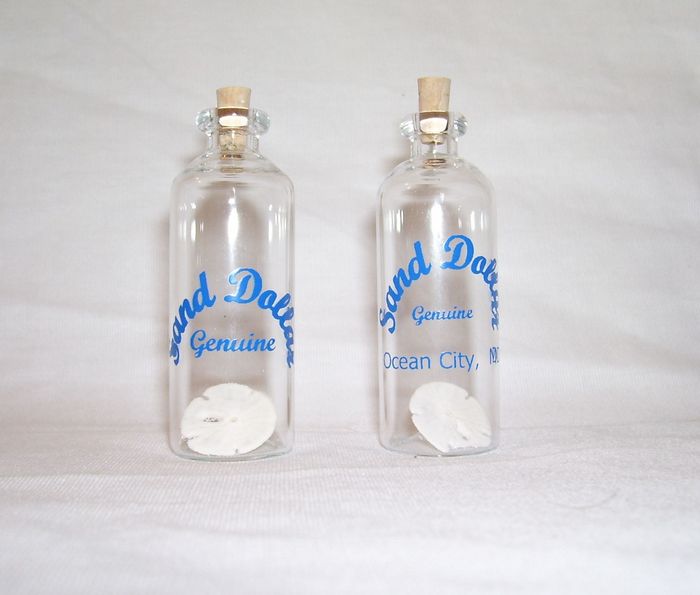 NGH114C Sand Dollar in Mini Glass Bottle With C...